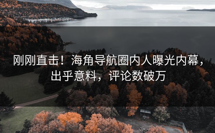 刚刚直击！海角导航圈内人曝光内幕，出乎意料，评论数破万