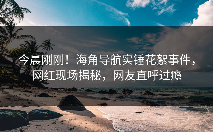 今晨刚刚！海角导航实锤花絮事件，网红现场揭秘，网友直呼过瘾
