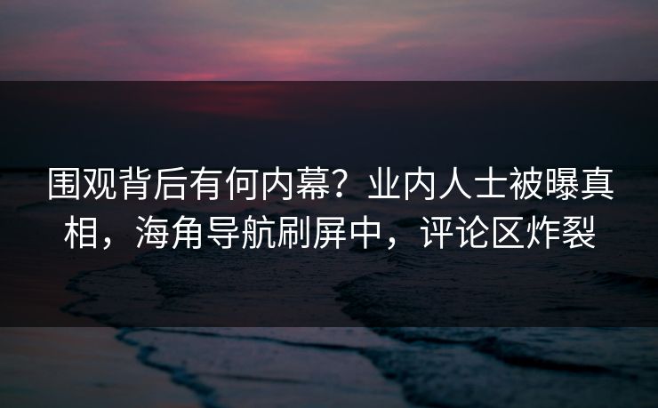 围观背后有何内幕？业内人士被曝真相，海角导航刷屏中，评论区炸裂