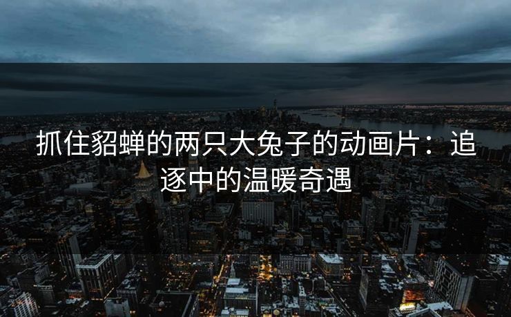 抓住貂蝉的两只大兔子的动画片：追逐中的温暖奇遇