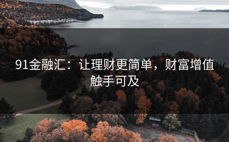 91金融汇：让理财更简单，财富增值触手可及